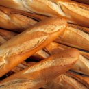 프랑스올리브 이미지