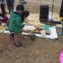 우미농장 이미지