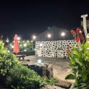 미깡낭밭 이미지