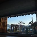 스테이 고요 이미지