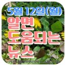 MK매경공인중개사사무소 | 5월 12일(월) 알면 도움되는 뉴스