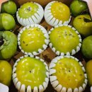 영암미소 이미지