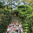 (숲-day의 날) 자연물과 함께 하는 사각형 &amp;캠핑놀이 이미지