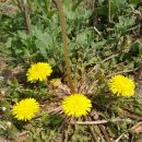 숲속나라 어린이집 이미지