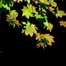 곰배령 길목에서 이미지