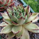 헬리오스 이미지