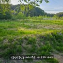 강릉성산 공인중개사사무소 네이버블로그