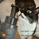 유어펫그루밍 | 고양이피부진정및염증완화, 환부 핥음 방지까지! : 유어벳 더마 릴렉서 스프레이 &amp; 메디 리밸런싱 버블폼