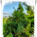 여송농장 이미지