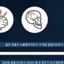 kick board는 타지마 이미지