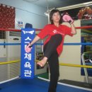 스타체육관 이미지