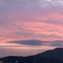 열정국밥 충북증평점 네이버블로그