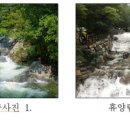 집다리골자연휴양림 브레이크뉴스강원
