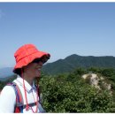 하양읍내 이미지