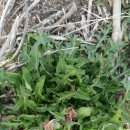 고요농장 이미지