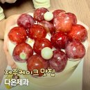 제주 맛집 다온제과 건강한 쌀케이크 부모님 생신 선물 추천
