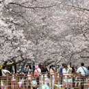 진해구 ⓒ-4 이미지