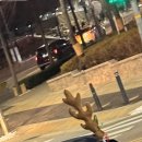 사카바산원 이미지