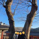 행전상점 | 서울 근교 주말 가족나들이 추천, 남한산성 행궁 당일 여행 코스 & 야경 산책