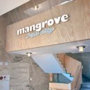 맹그로브 제주시티 이미지