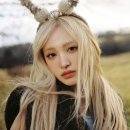 아이브 이미지