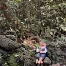 숲속의작은마을 이미지