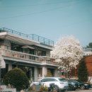 대성다방 - 구미시 상장4길 1 | 대성다방