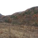 산들이농장 네이버블로그