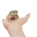 맘스동물의료센터 이미지