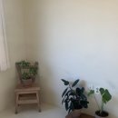 월정그곳 이미지