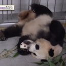 이윤헤어클럽