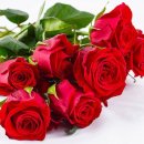 웰빙댄스(초급) 이미지