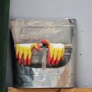 스테이치목 이미지