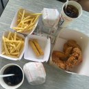 하이카워시 | 저녁까지: 알파인코스터,어크랙션,워터파크,사파리 : 홍학포토존 : 하이카 현지인맛집 : 롯데리아 점심