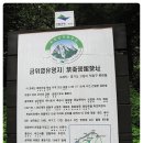 북한산에도 이질풀과 톱풀이 있었다니.... 북한산 산행후기 ( 5 ) 야생화 야생화 까치수영, 갈퀴나물...
