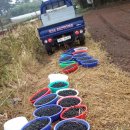 행복한농부 이미지