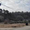 도룡/도룡골 네이버블로그
