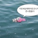 골든콜