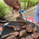 숲속의 정든집 야영장 이미지