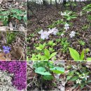 한북정맥 4 이미지