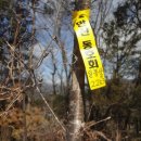 달돋이마을 이미지