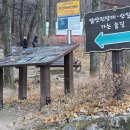 앞산 | 대구 앞산 등산 후기