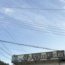 보리수나이트클럽