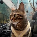 청계산로1-7 이미지