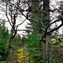 생활미용 이미지