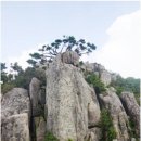 고당축사 티스토리