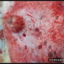 행담 동물병원 이미지