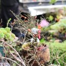 전원가든농원 이미지