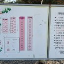 알멕스랜드캠핑장 이미지
