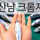 경산남몰